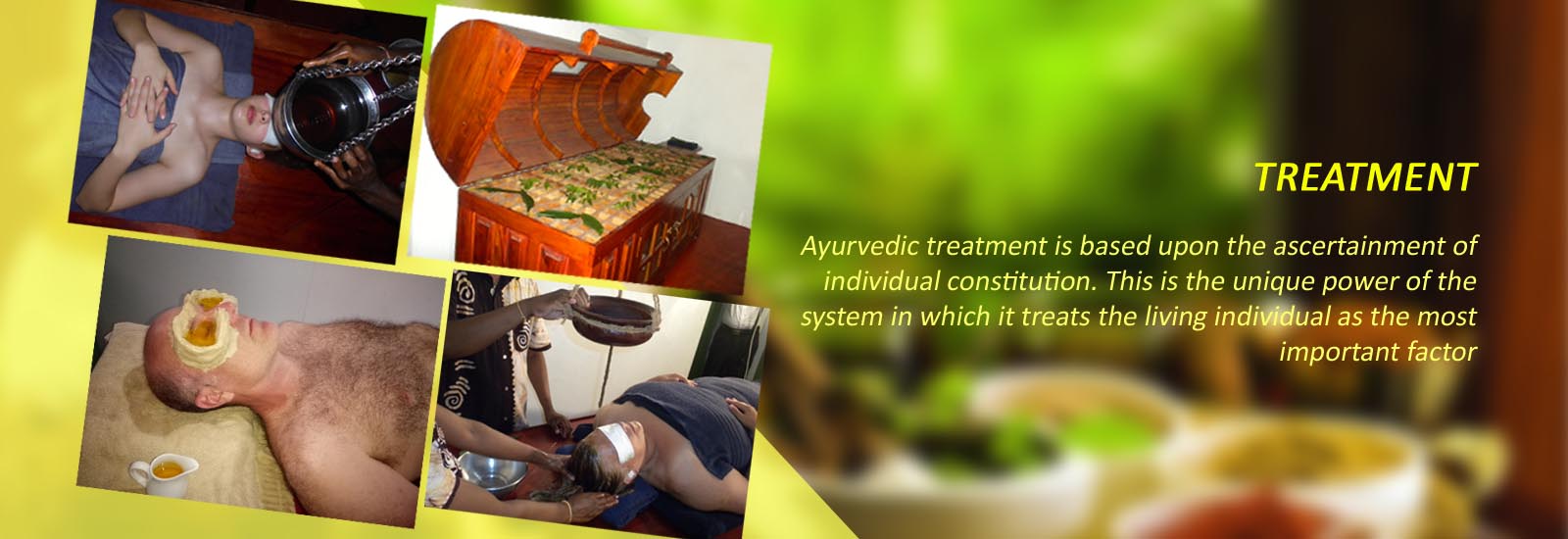 ayush-ayurveda-treatments